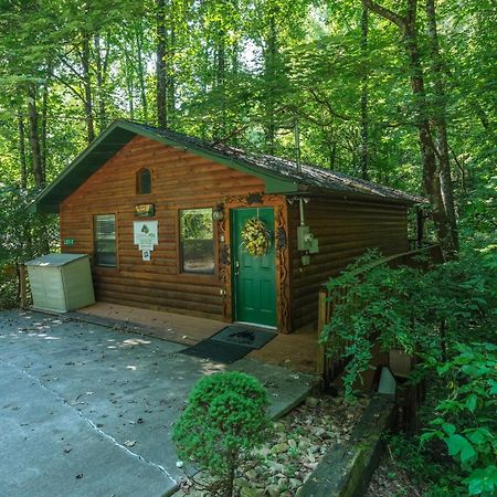 Beary Cozy Villa Pigeon Forge Luaran gambar